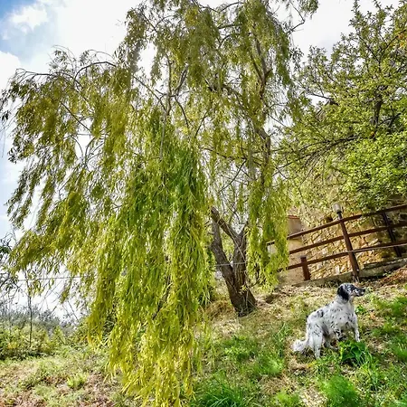 Nocleg ze śniadaniem Casale San Martino Laureana Cilento